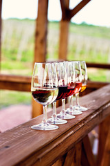 Glasses with wine. Red, pink, white wine in glasses.