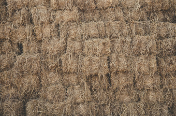 straw background and texture.