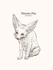 and drawn vintage style sketch of cute funny Fennec Fox. Vector Illustration