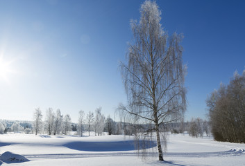Beautiful wintry landscape image from Finland. Blue sky with sunshine and snow.
