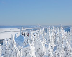 Group of hikers are enjoying a beautiful winter landscape in Koli National Park