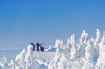Group of hikers are enjoying a beautiful winter landscape in Koli National Park