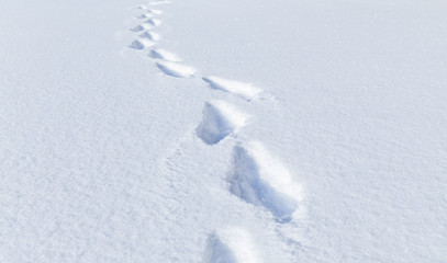 Human footprints in deep snowdrift