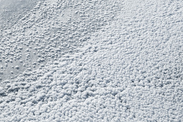 Surface hoar, the most common hoarfrost