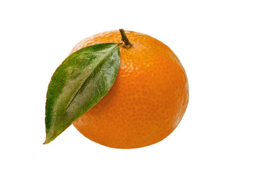 Green leaf on white background