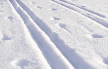 Closeup of ski tracks and animal footprints beautiful colour