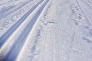 Fototapeta na wymiar Closeup of ski tracks with animal footsteps during blue hour