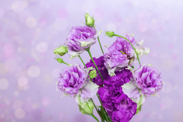 A bunch of fresh gently purple flowers on a blurry background with a bokeh. Flowers of the eustoma. Greeting card with copy space.