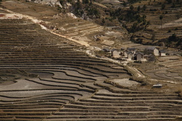 Madagascar Alte terre