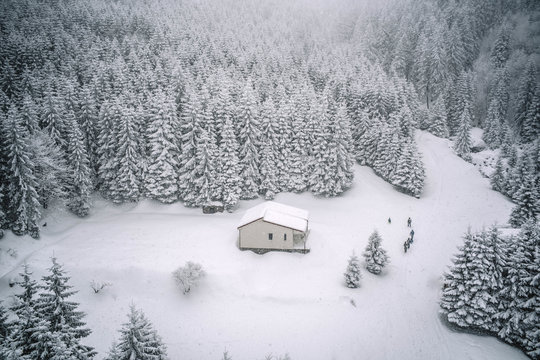 Cottage surrounded by pine trees in snow landscape.