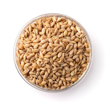 Top view of barley seeds in glass bowl