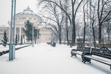 Walking through the Snowed Park