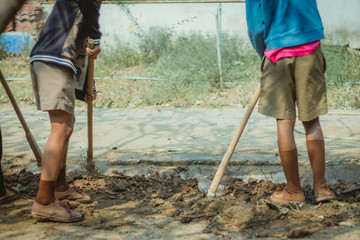 The students help to dig up the grass to prepare the trees.