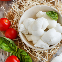 Italian cheese mozzarella nodini with tomatoes and herbs