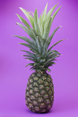 Pineapple on purple background