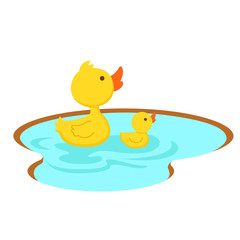 duck swimming in the pond, illustration.