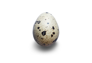 Naklejka na ściany i meble One quail egg. Isolated on white background