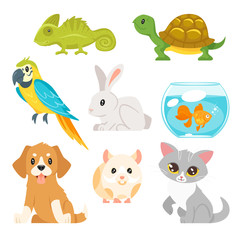 set of home animal pet