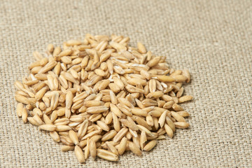 Raw porridge. Grains of cereals. Neutral light background