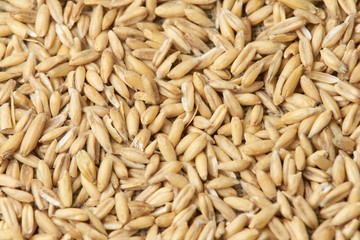 Raw porridge. Neutral light background. Grains of cereals