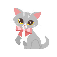 animal pet - cute cat 