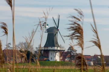 Fototapete bei efototapeten.de bestellen   