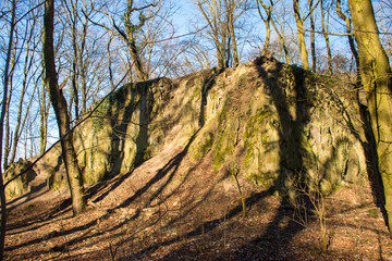 Fototapete bei efototapeten.de bestellen   