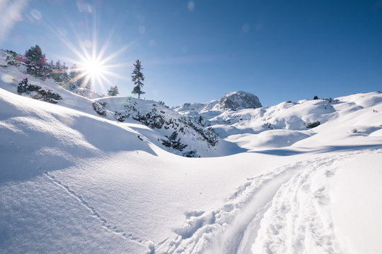 snowy mountains