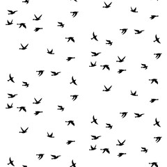 Fototapeta na wymiar Vector seamless pattern with birds