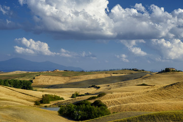 Obraz premium Summer landscape near Asciano