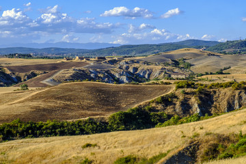 Fototapeta na wymiar Summer landscape near Asciano