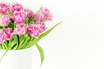 Close up bouquet of pink tulips in bucket. Fresh spring easter flower. White background , copy space