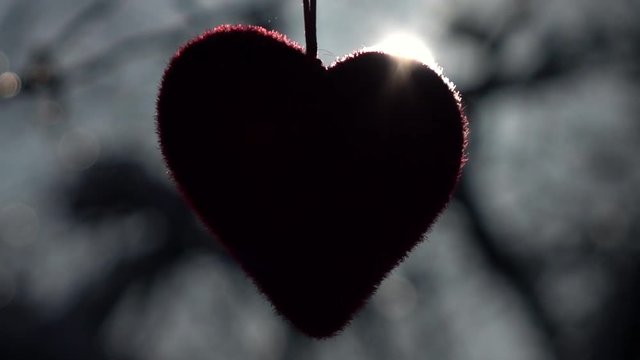 Winter lyric scene of Saint Valentine's Day. Red heart, hanging and waving in back light close up. Love Day of winter cold February in slow motion. Cold sunny weather for hot romantic heart.