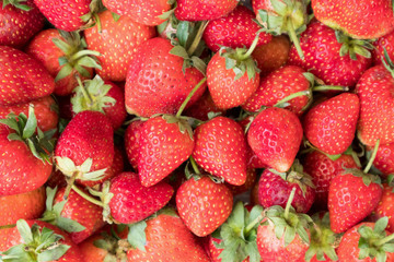 freshly ripe strawberries background