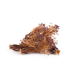 Red cotton tree flowers on white background, Bombax ceiba flower is a kind of traditional Chinese medicine