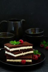 Delicate chocolate creamy cake with raspberries.