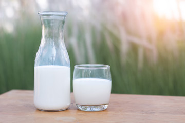 milk,Milk bottle,Milk glass