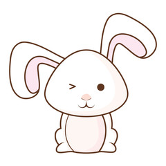 Cute rabbit icon