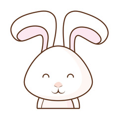 Cute rabbit icon