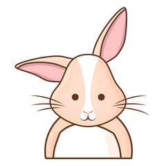 Cute rabbit icon