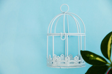 small decorative cage white on a blue background