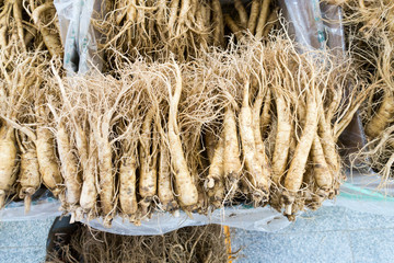 Ginseng Wurzeln auf dem Geumsan Ginseng Markt in Geumsan in  Korea