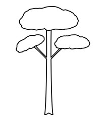 tall tree icon image