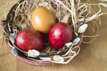 naturgefärbte Eier im Osternest