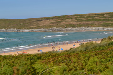 Beautiful Waves