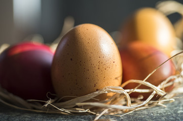 Eier im Osternest