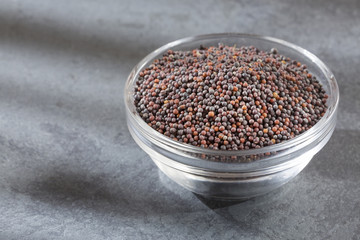 Black grains mustard - Brassica nigra