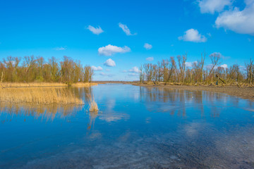 The edge of a frozen lake in sunlight in winter