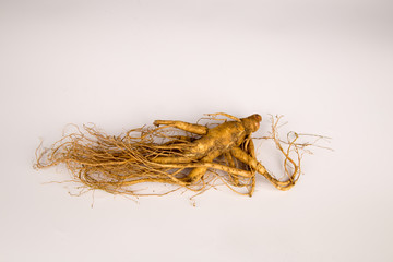 Ginseng / Ginsengwurzel