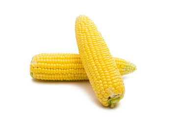 head of corn isolated